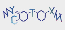 logo mycotoxin workshop