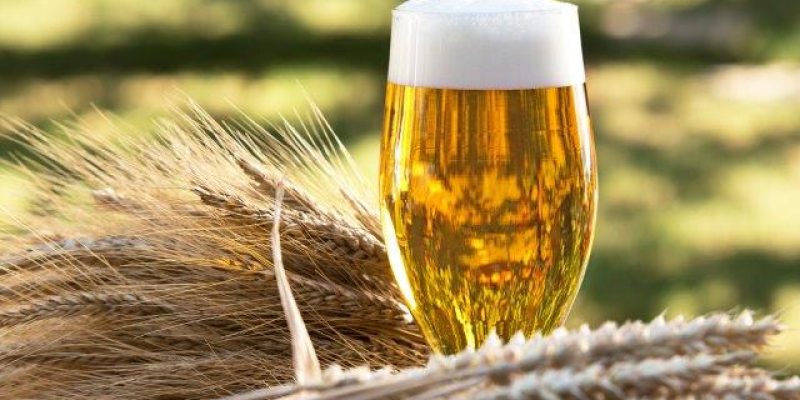 Mycotoxin in brewing and malting